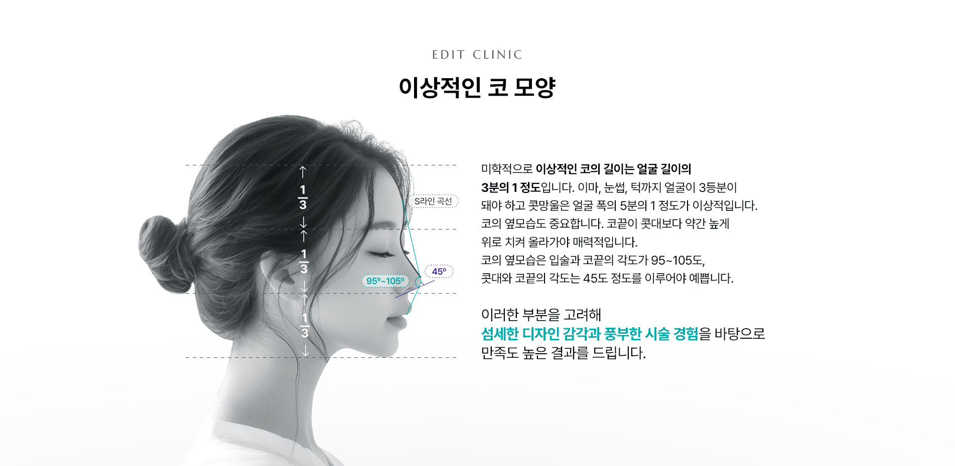 이상적인 코 모양