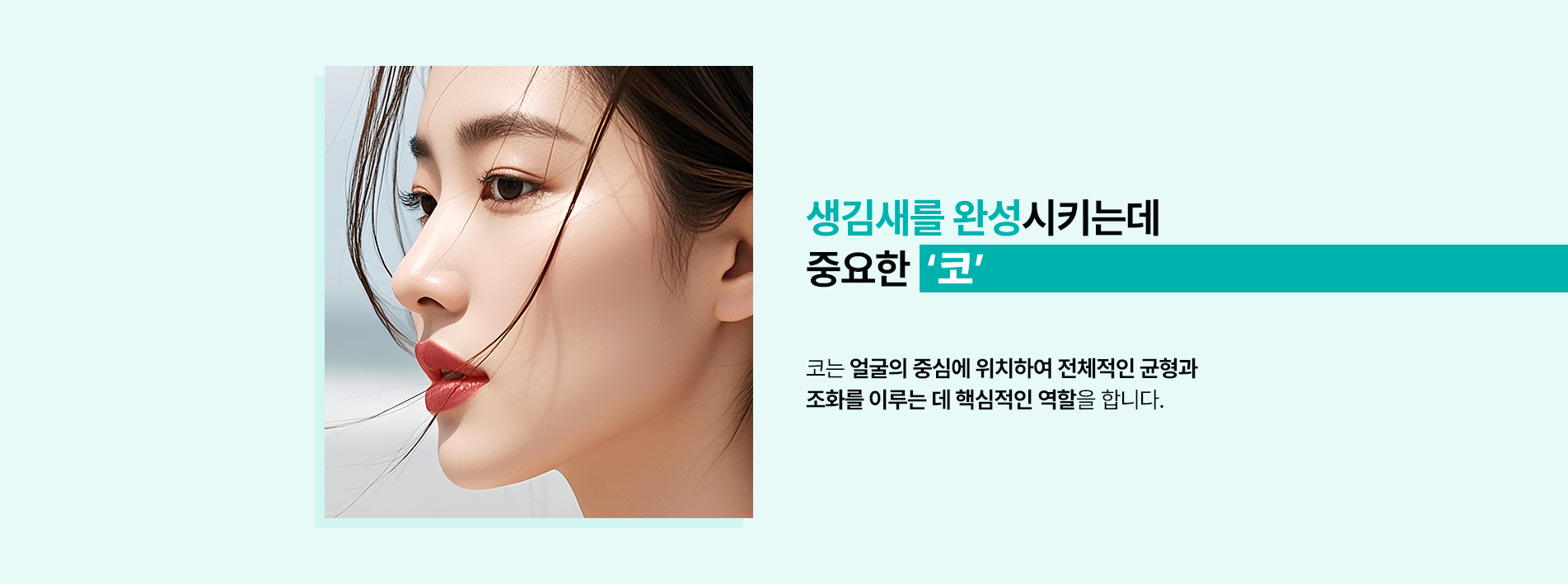 코의 중요성