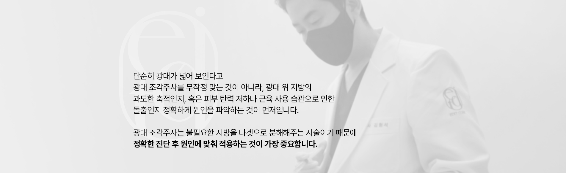 에디트 광대조각주사