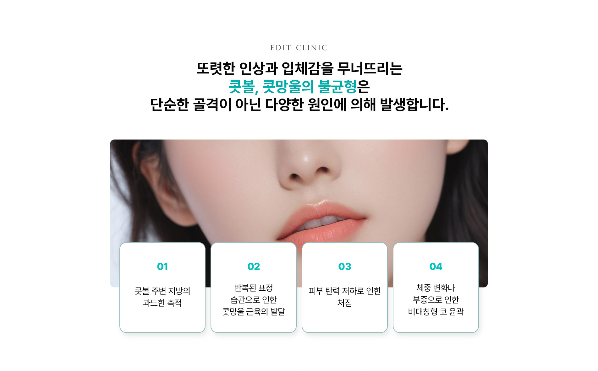 콧볼,콧망울04
