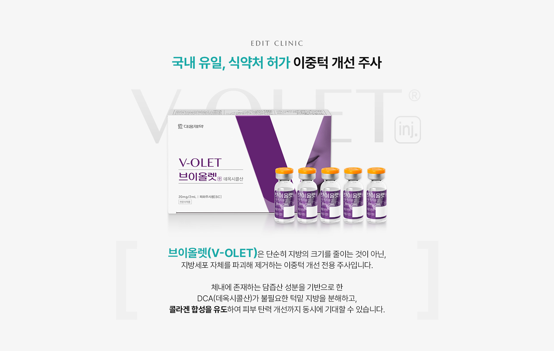 브이올렛이란