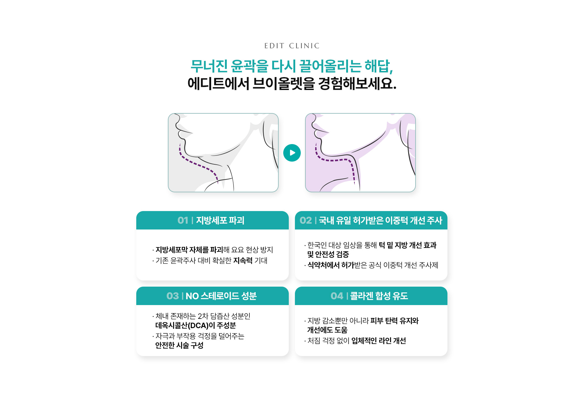 브이올렛 특징